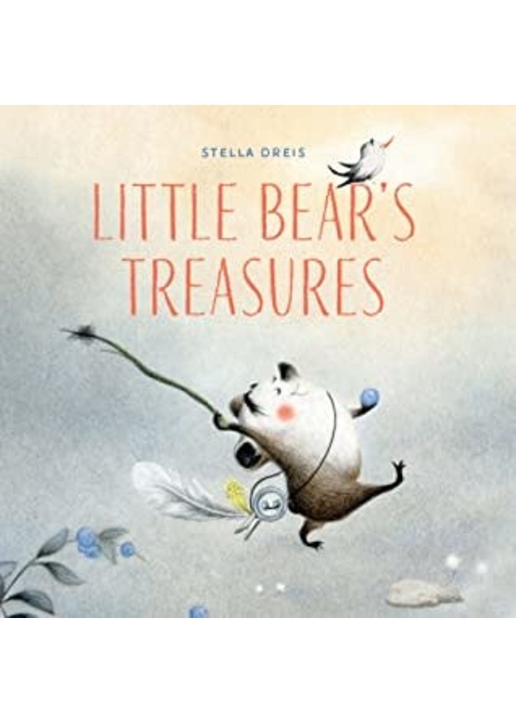 Little Bear's Treasure by Stella Dreis