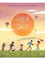 Catch the Sky: Playful Poems on the Air We Share by Robert Heidbreeder