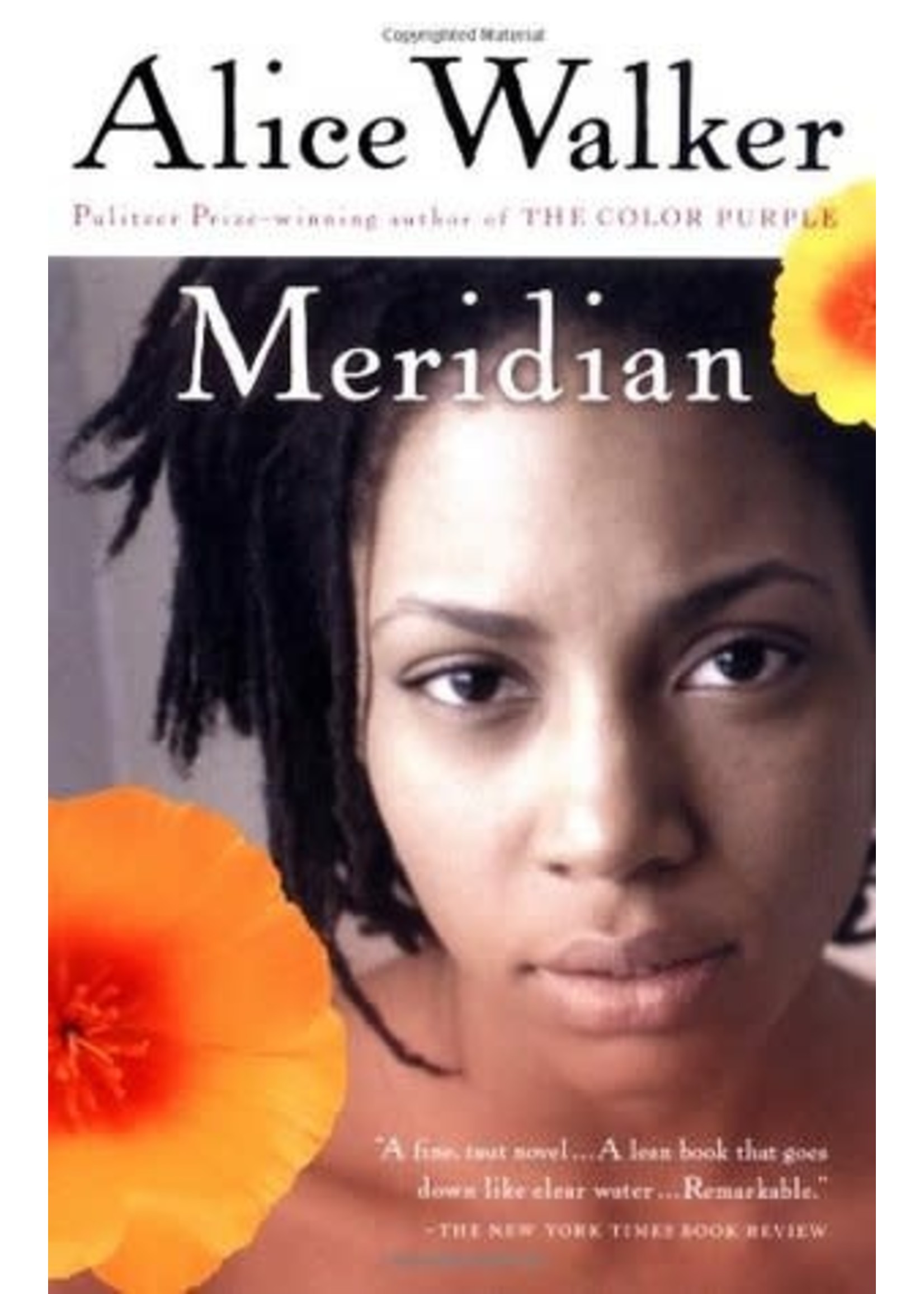 Meridian by Alice Walker