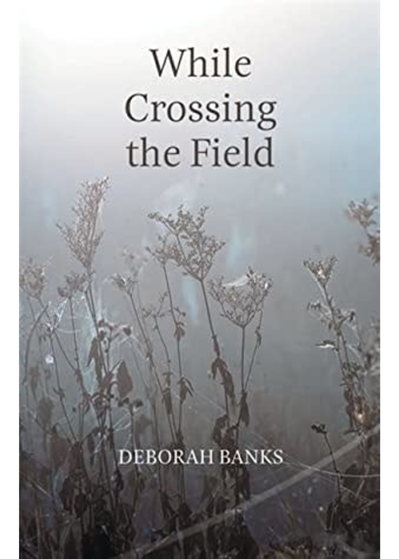 While Crossing the Field by Deborah Banks