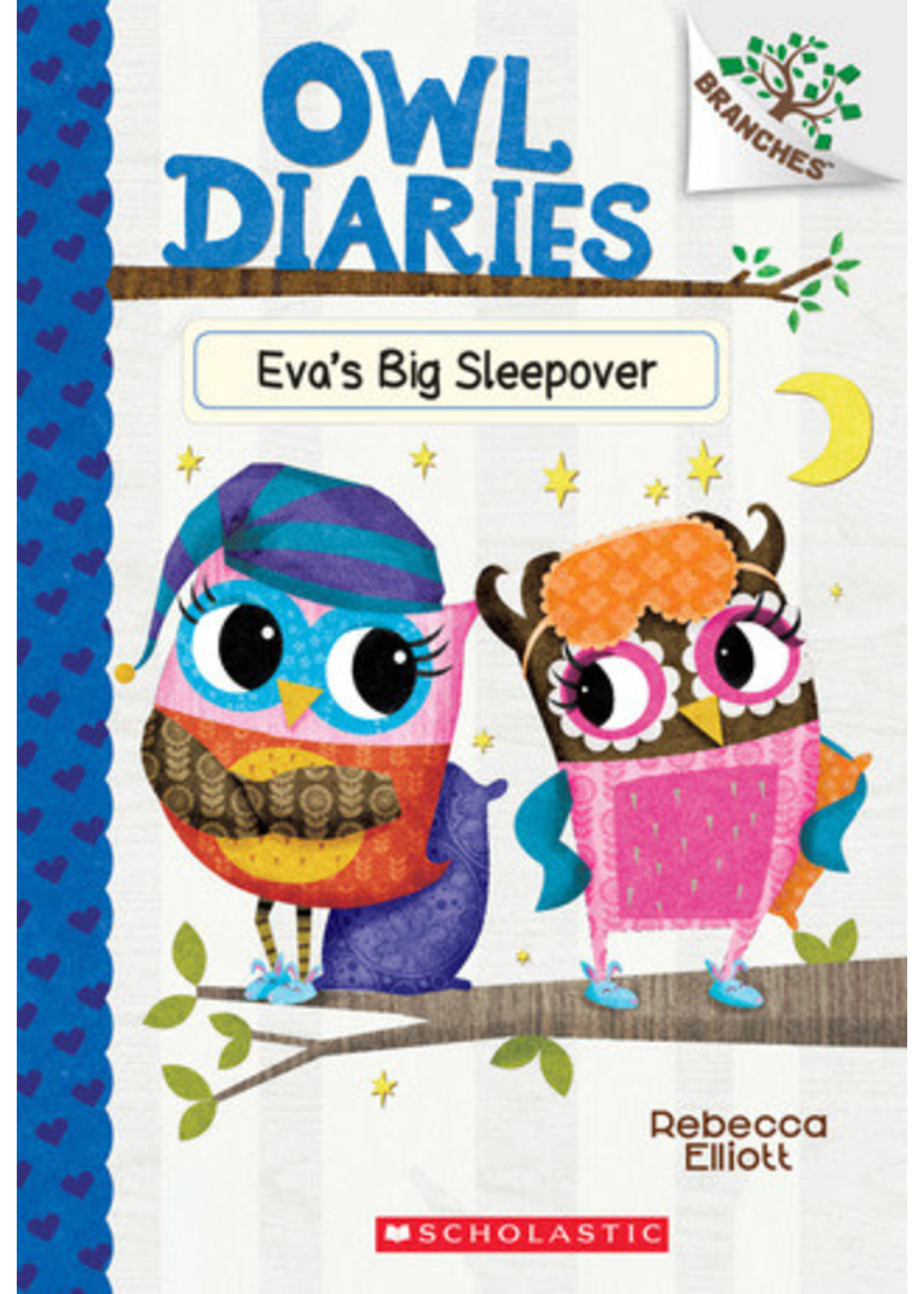 Eva's Big Sleepover (Owl Diaries #9) by Rebecca Elliott