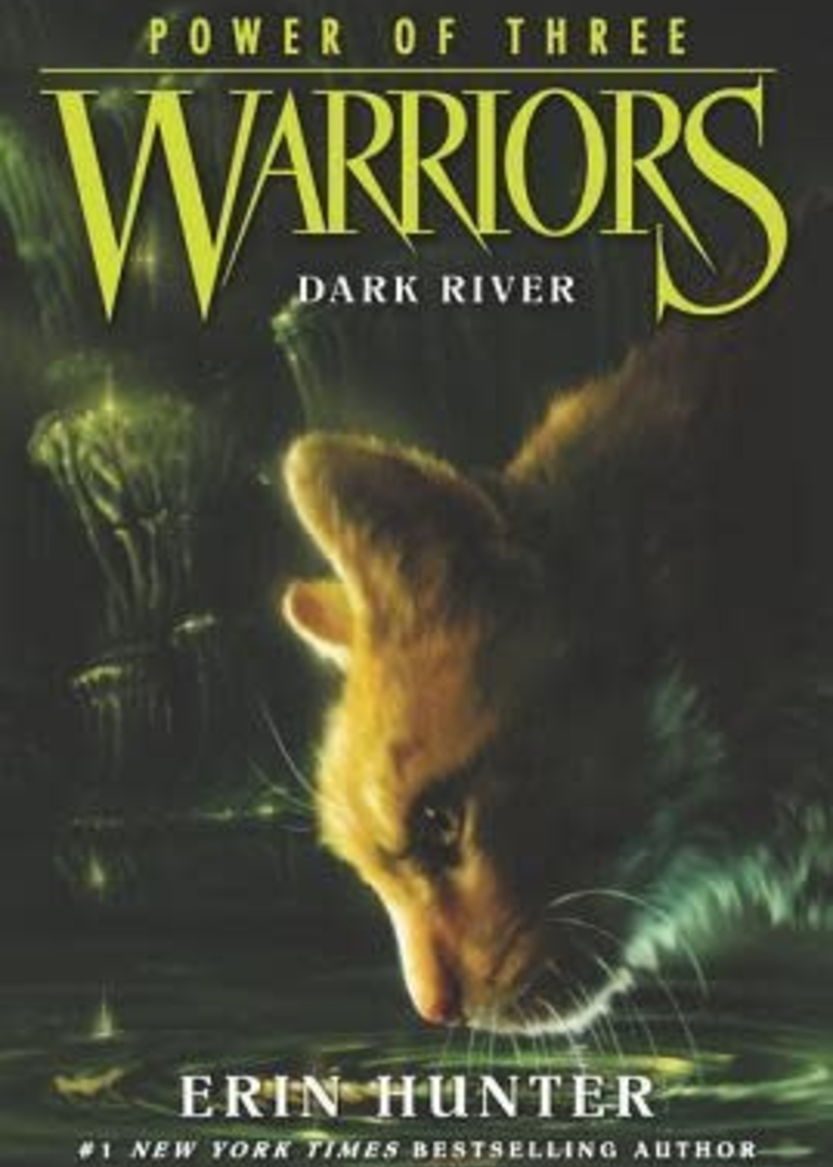 Dark River (Warriors: Power of Three #2) by Erin Hunter