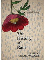 The History of Rain by Stephens Malone