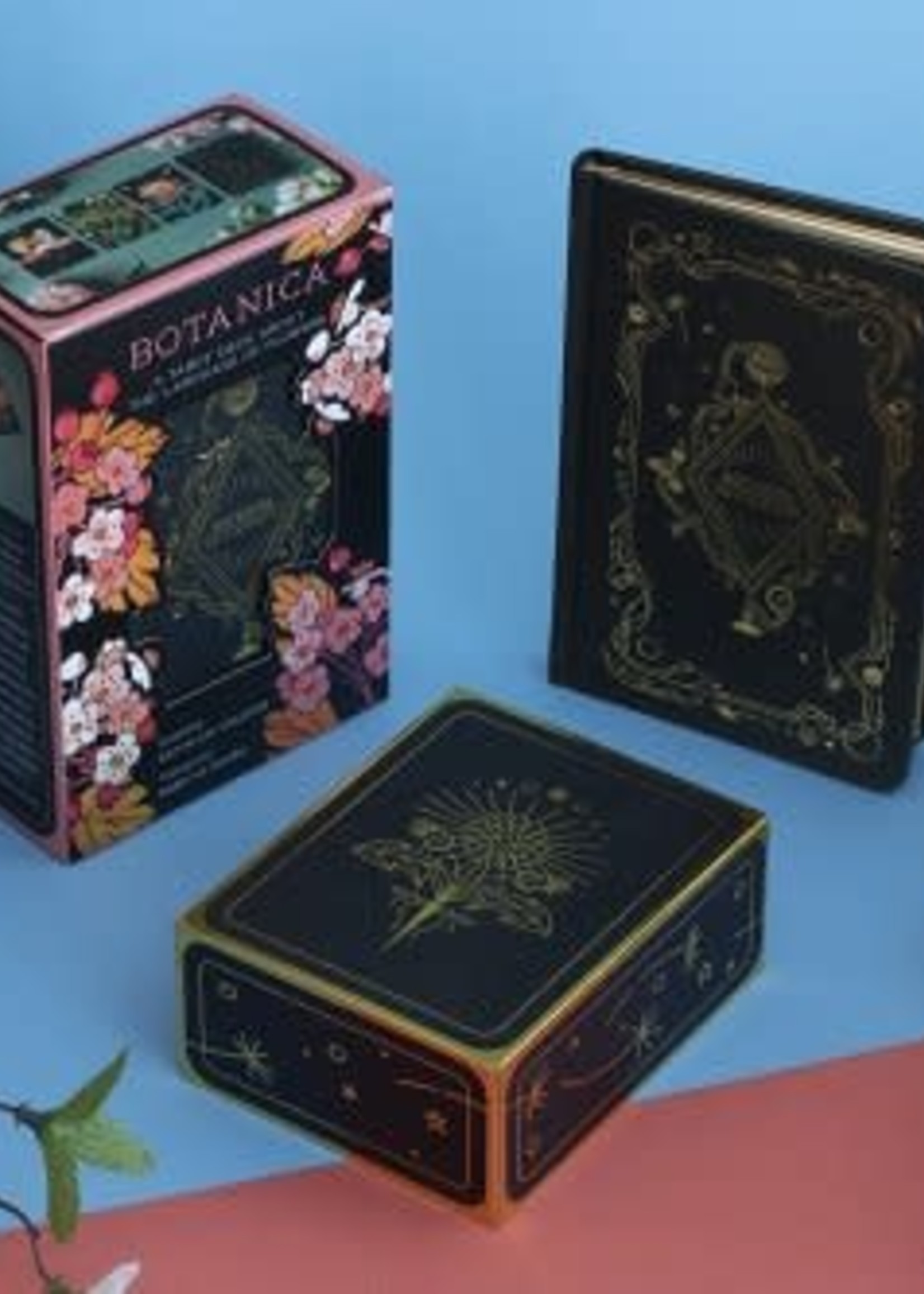 Botanica A Tarot Deck about the Language of Flowers The Curious Cat