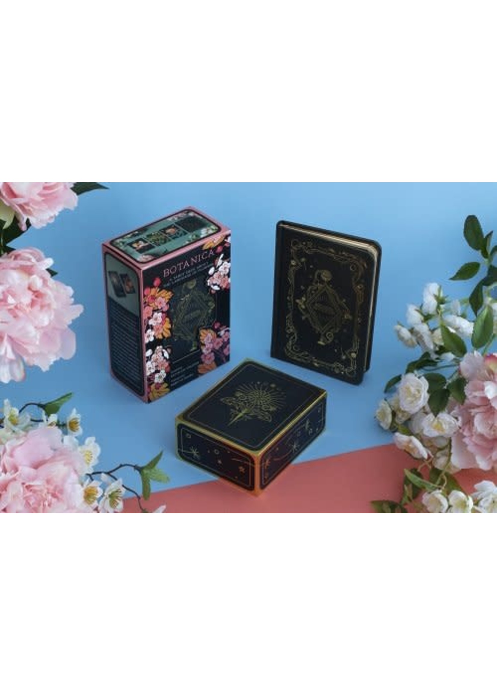 Botanica A Tarot Deck about the Language of Flowers The Curious Cat