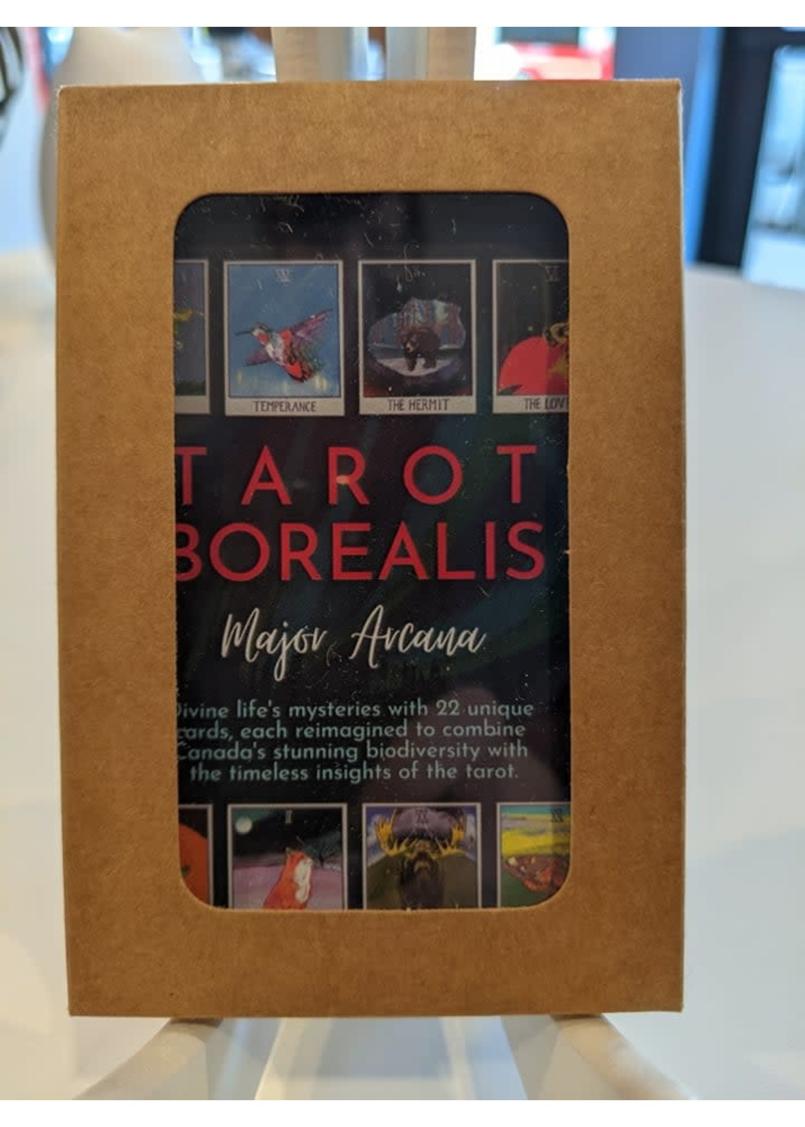 Tarot Borealis: Major Arcana by Dan Bray