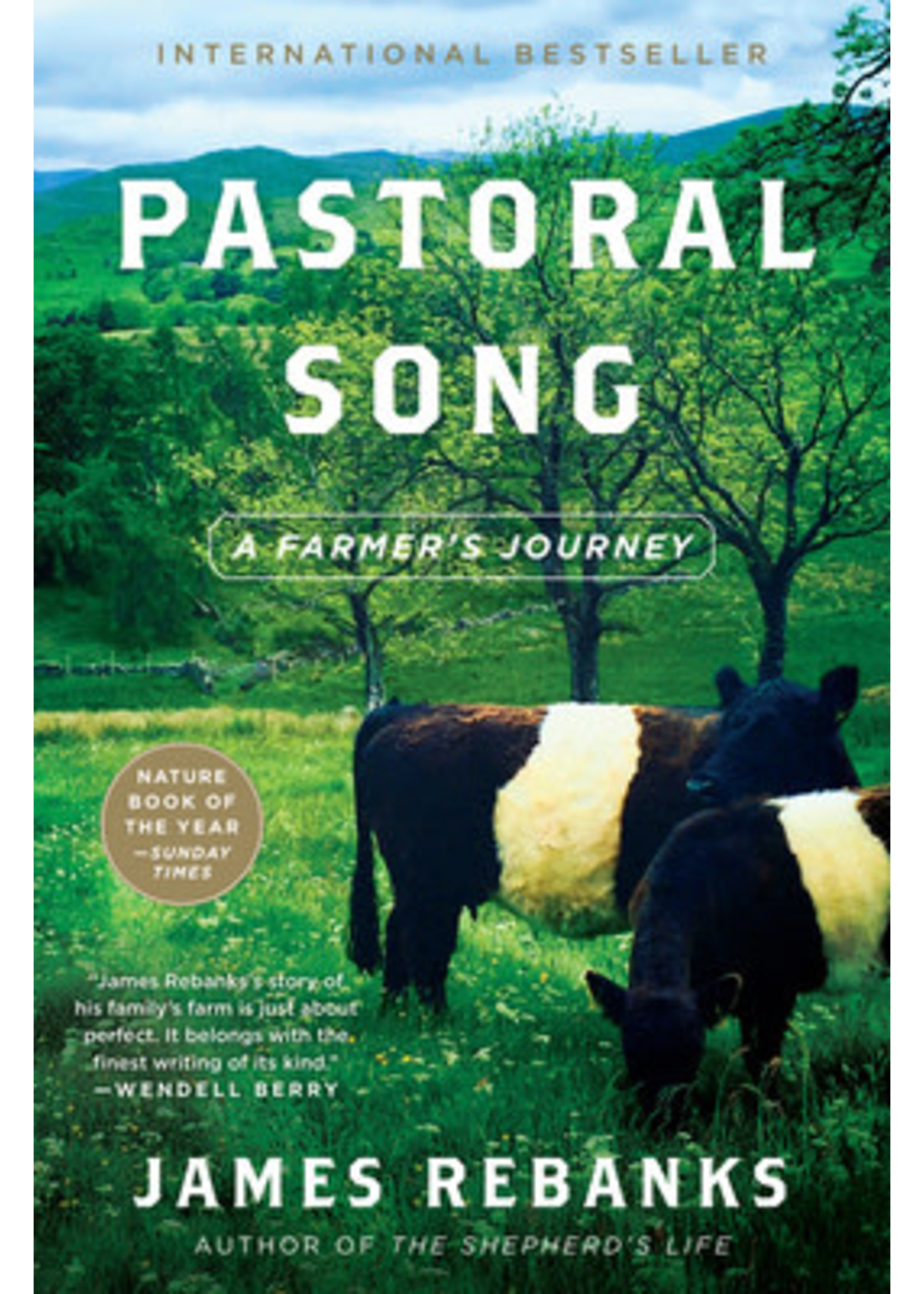 Pastoral Song by James Rebanks