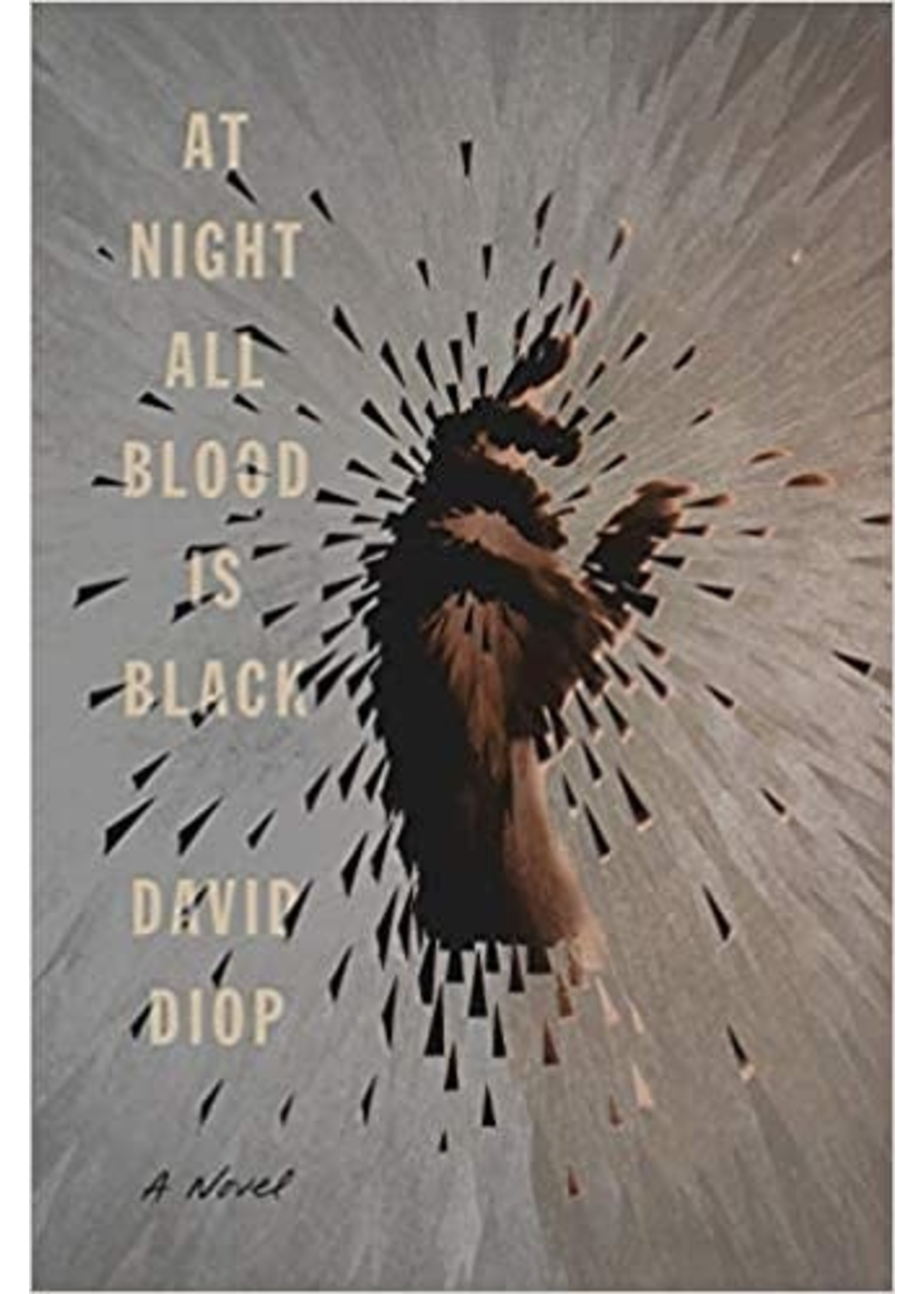 At Night All Blood Is Black by David Diop