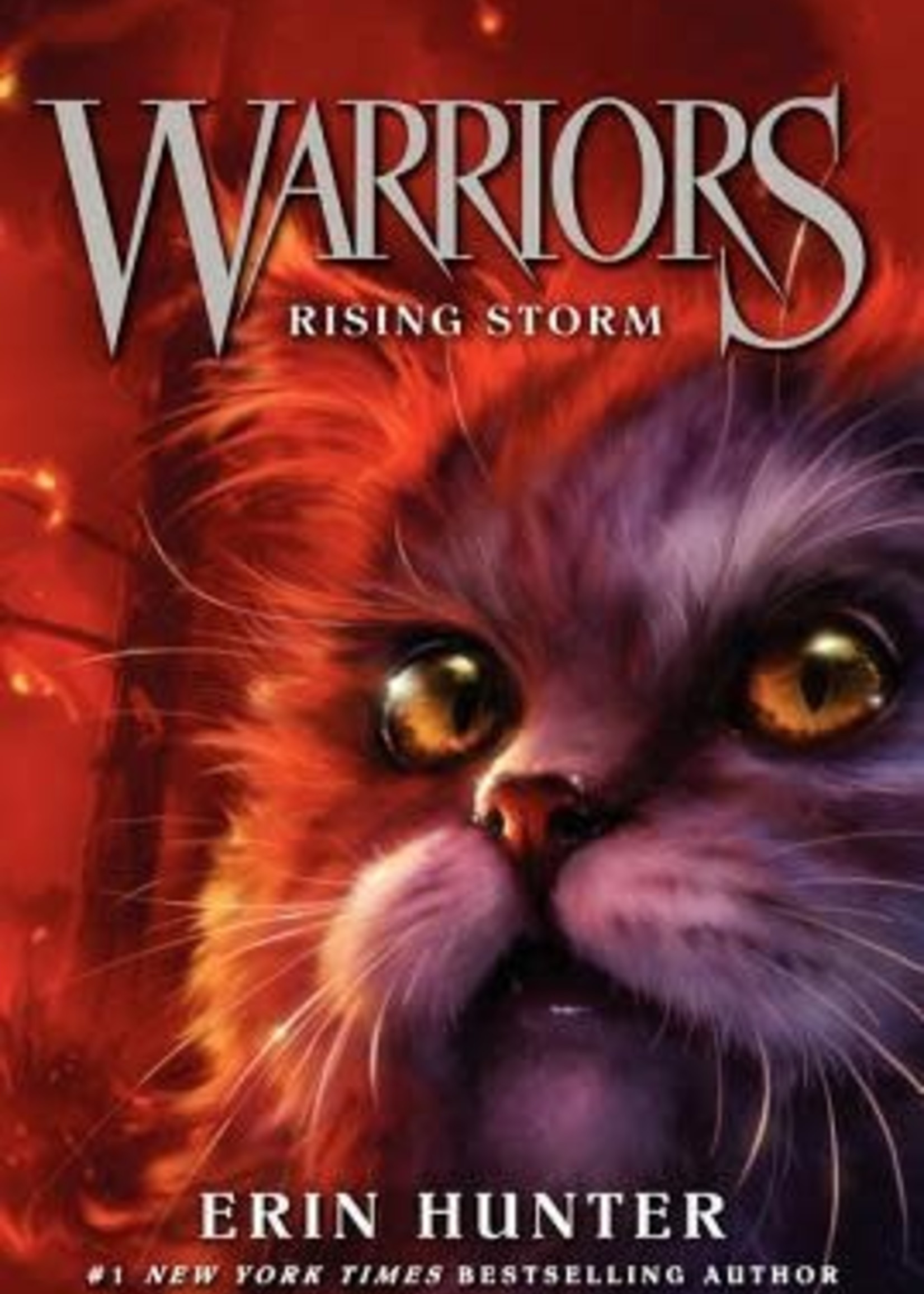 Rising Storm (Warriors #4) by Erin Hunter
