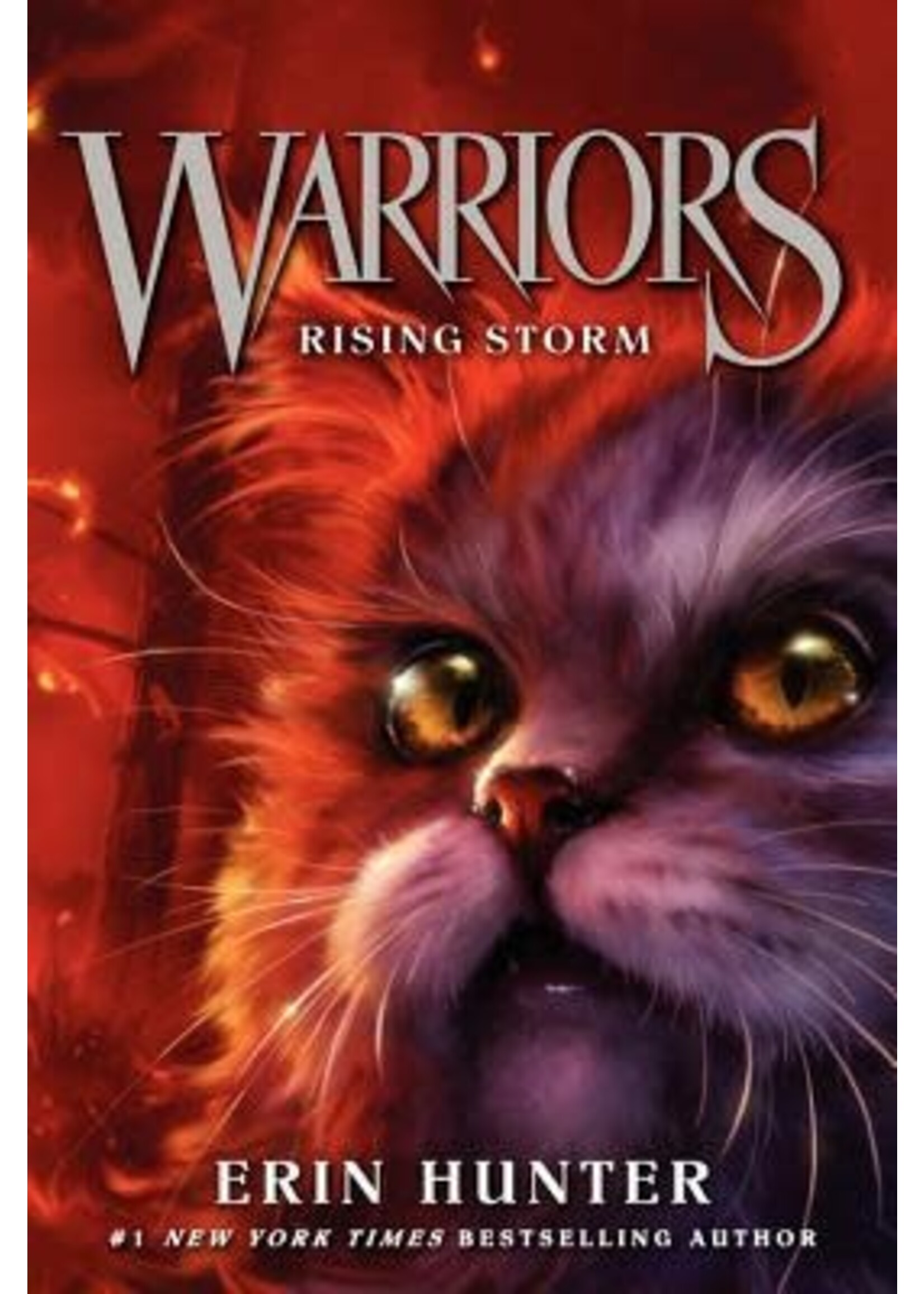 Rising Storm (Warriors: The Prophecies Begin #4) by Erin Hunter
