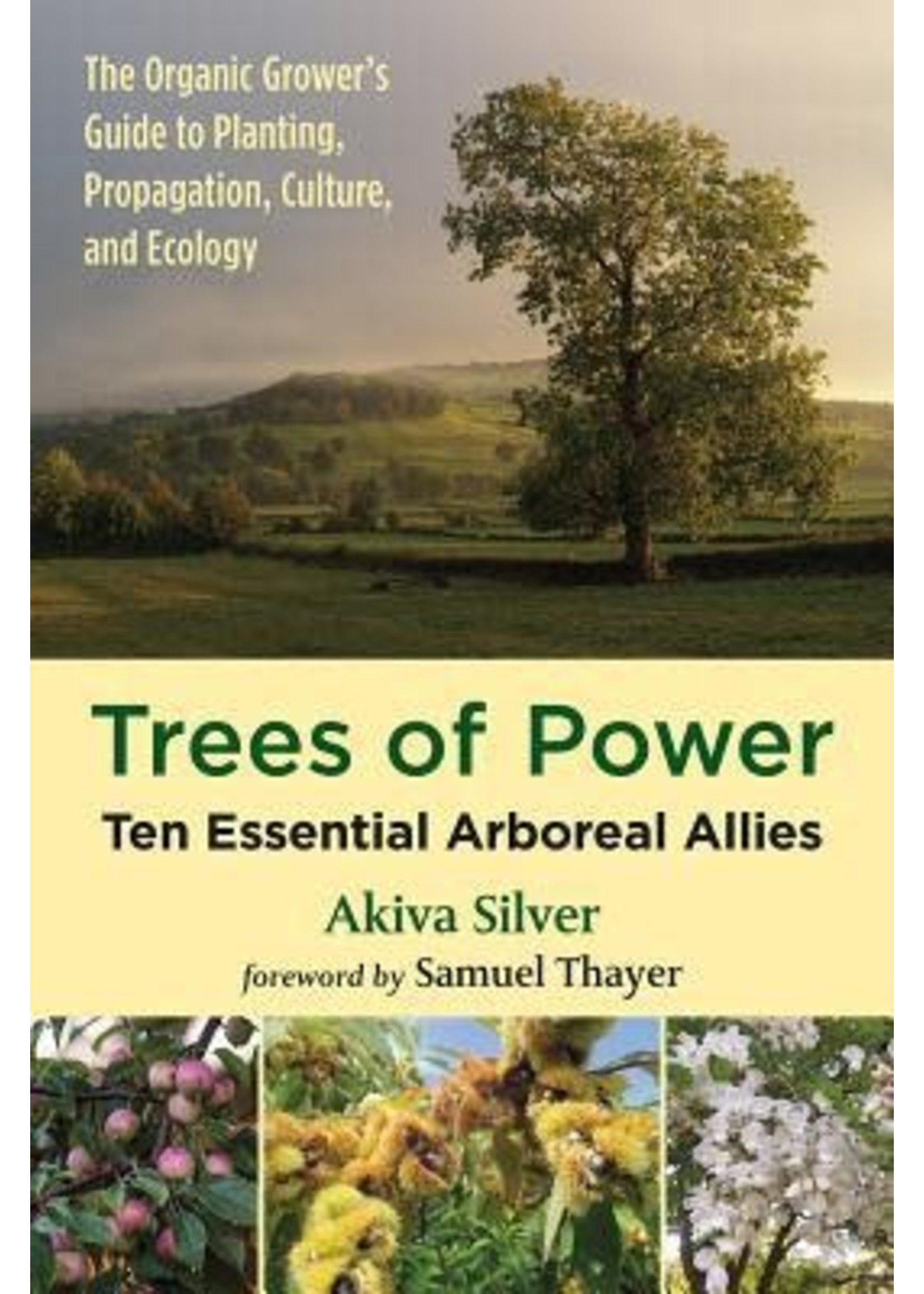 Trees of Power: Ten Essential Arboreal Allies by Akiva Silver