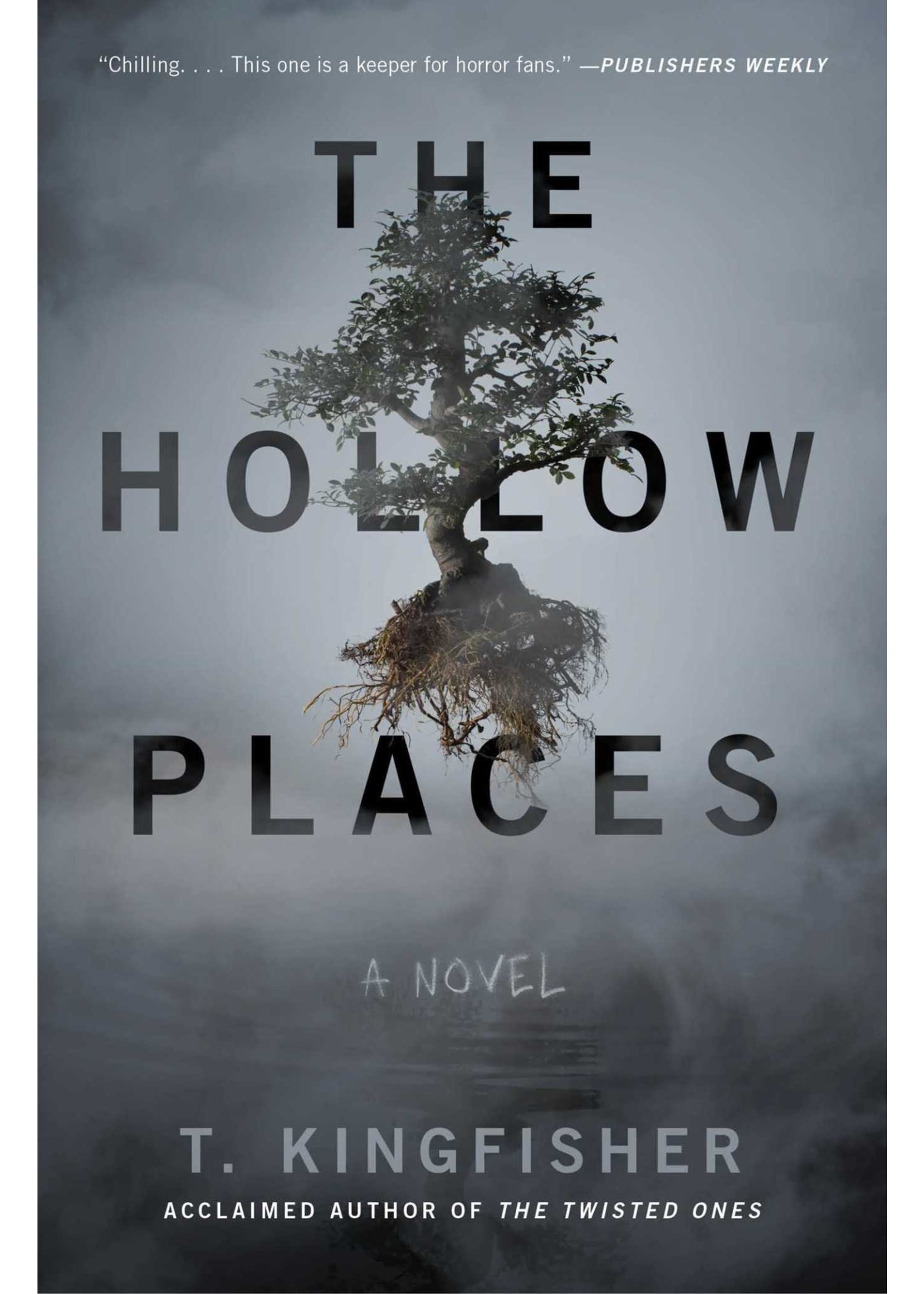 The Hollow Places by T. Kingfisher