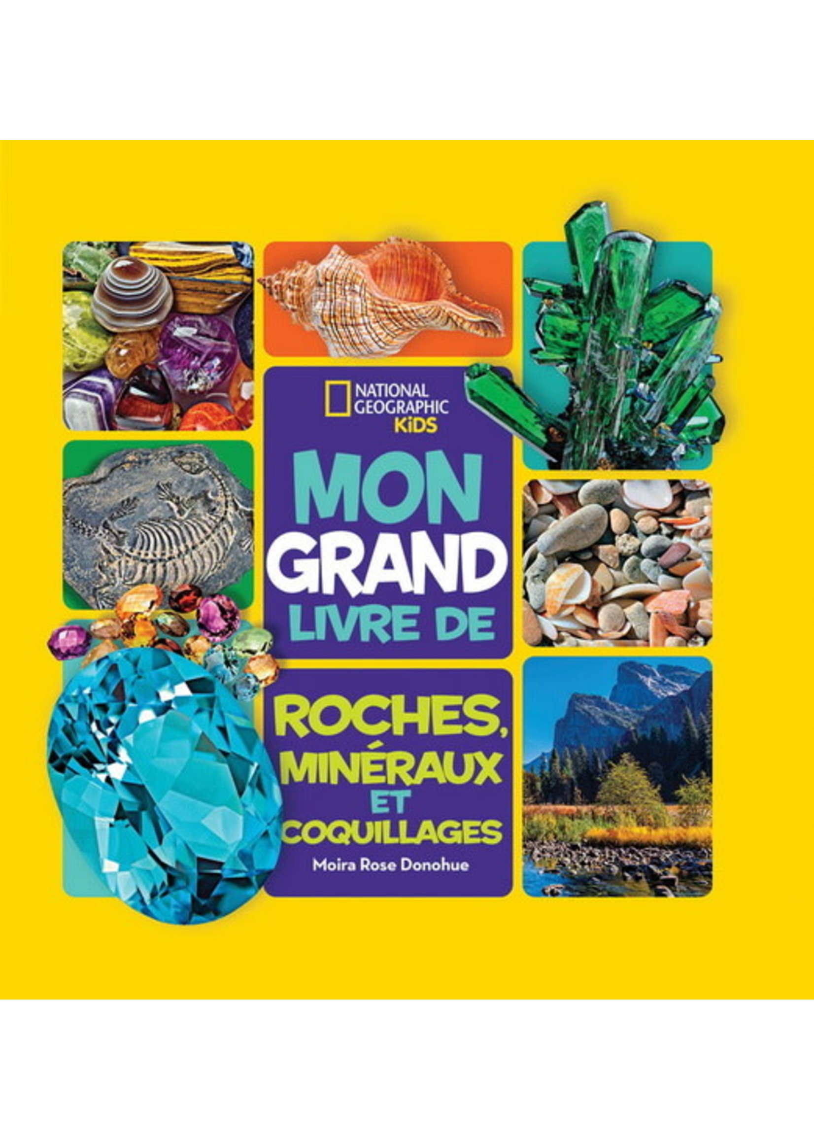 Mon grand livre de roches, minéraux et coquillages De Moira Rose Donohue