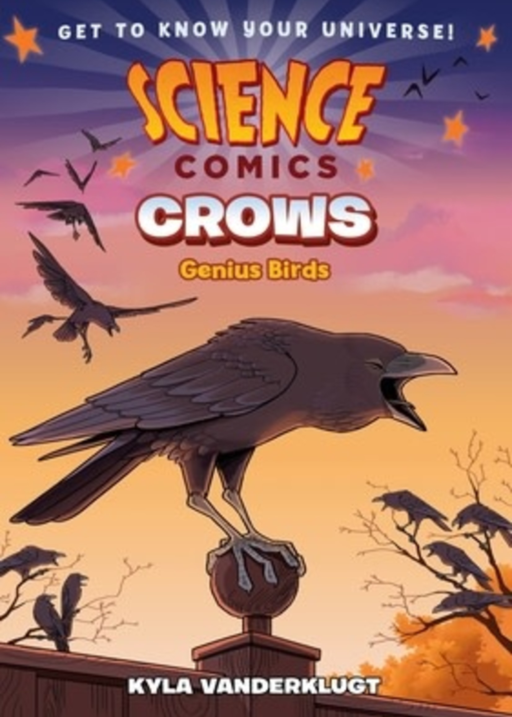 Crows: Genius Birds by Kyla Vanderklugt