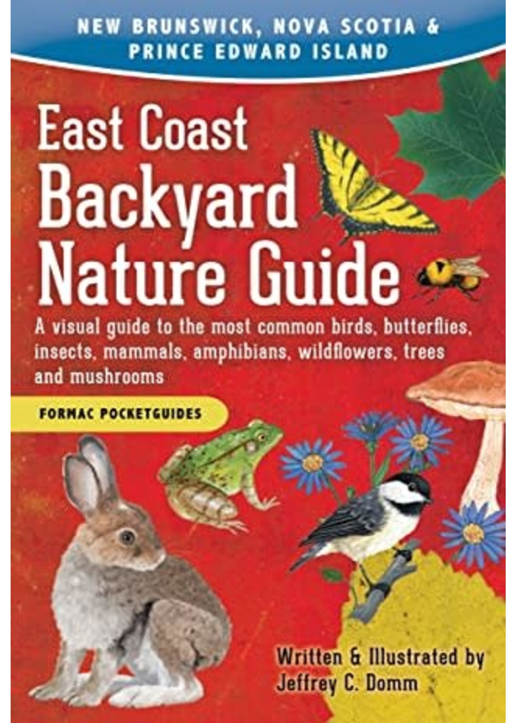 East Coast Backyard Nature Guide by Jeffrey C. Domm