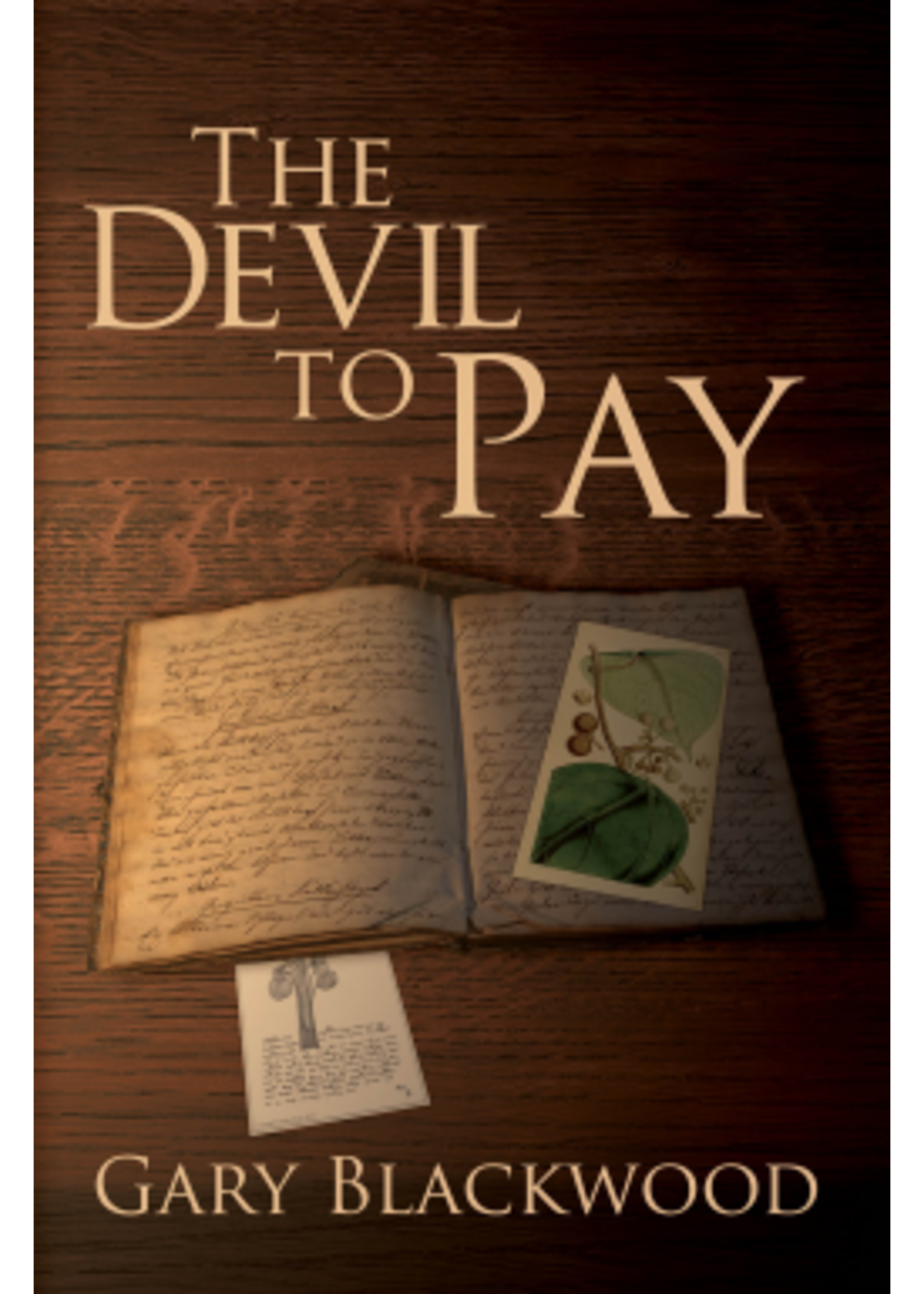 The Devil to Pay by Gary Blackwood