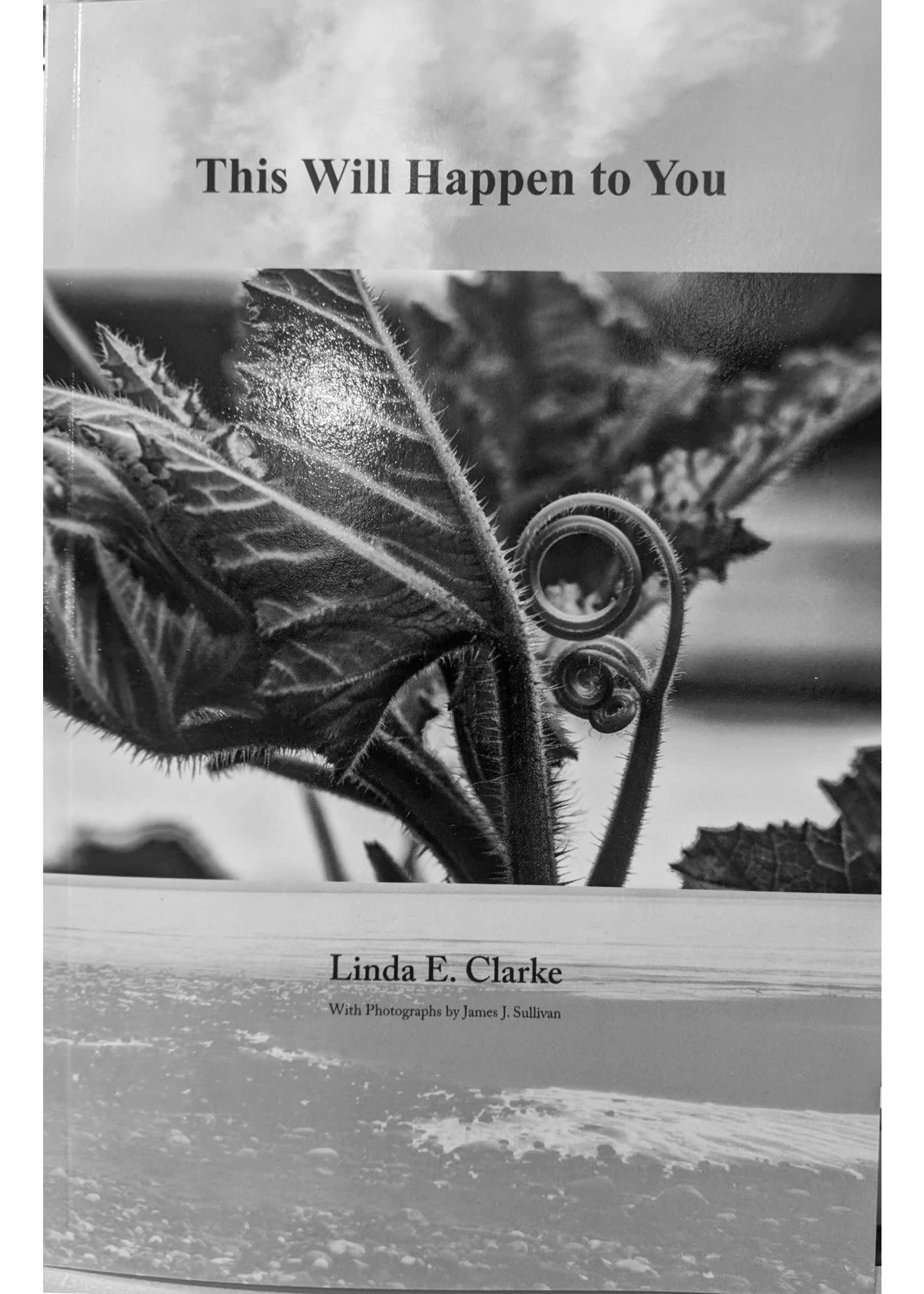 This Will Happen to You by Linda E. Clarke
