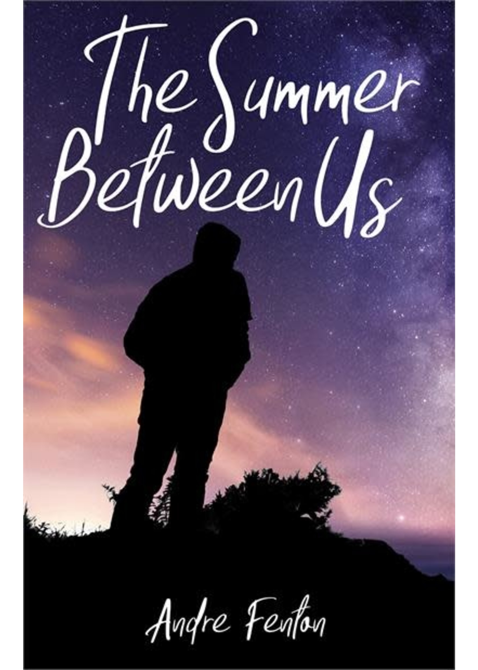 The Summer Between Us by Andre Fenton