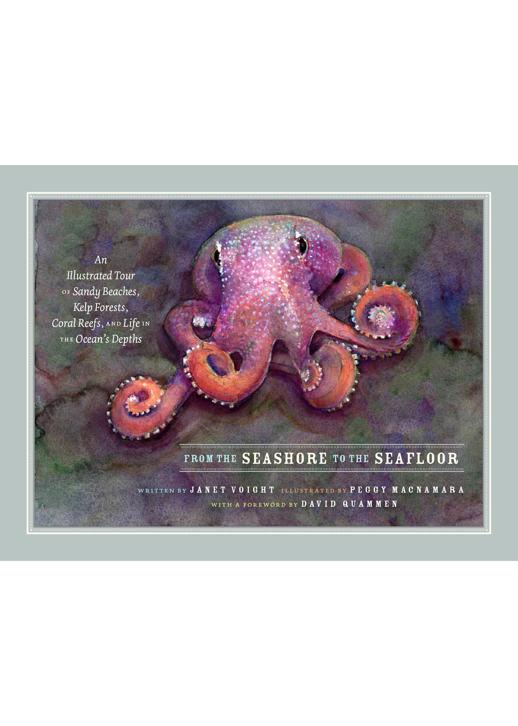 From the Seashore to the Seafloor: An Illustrated Tour of Sandy Beaches, Kelp Forests, Coral Reefs, and Life in the Ocean's Depths  Janet Voight ,  Peggy Macnamara