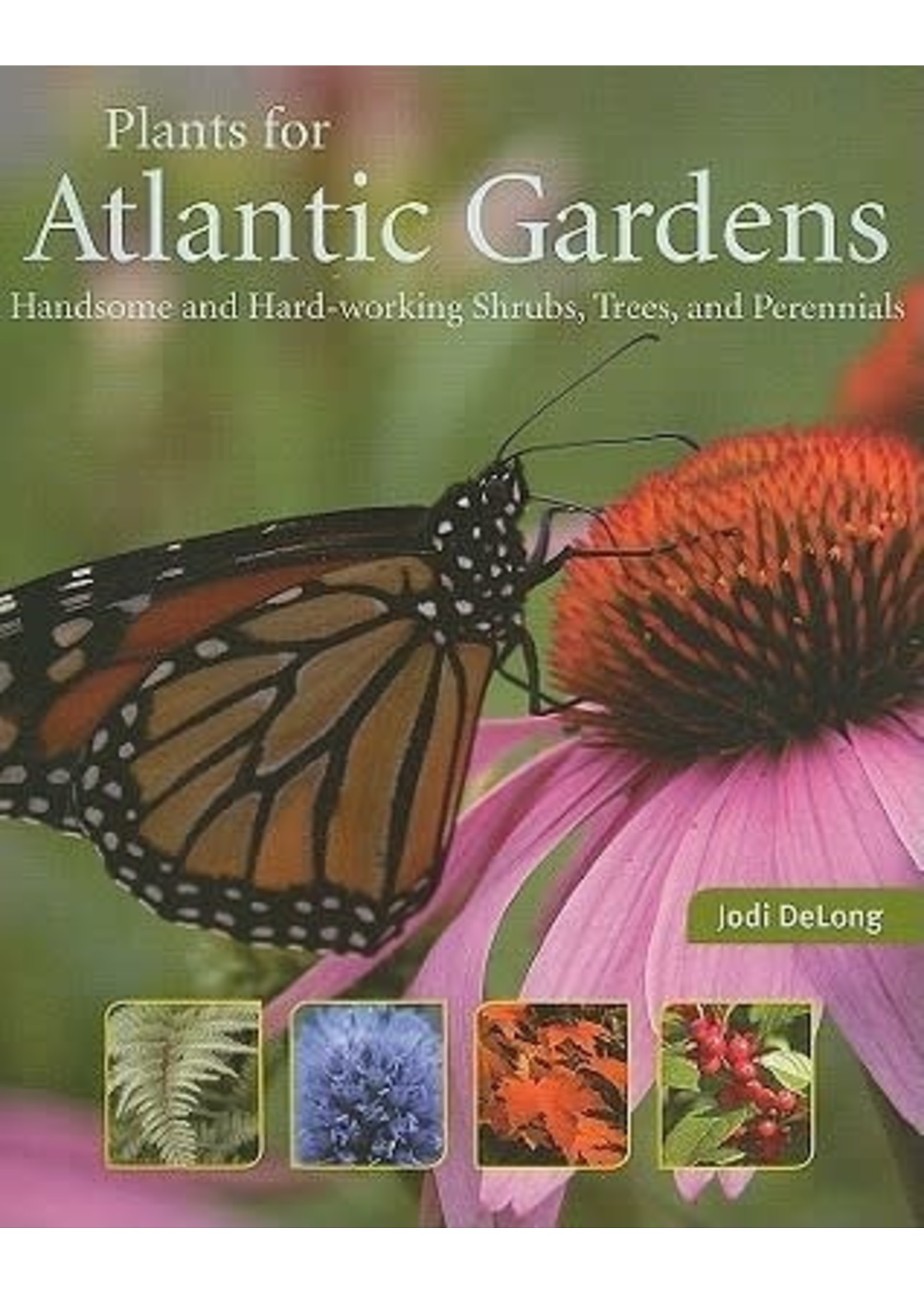 Plants for Atlantic Gardens: Handsome and Hard-Working Shrubs, Trees, and Perennials by Jodi DeLong
