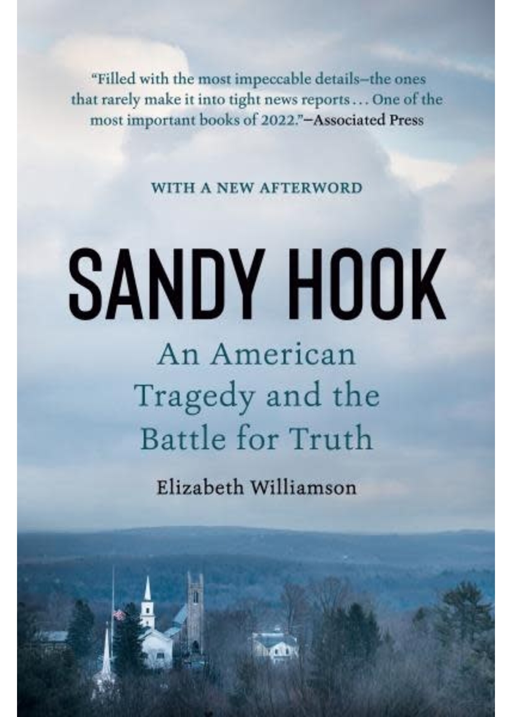 Sandy Hook: An American Tragedy and the Battle for Truth by Elizabeth Williamson