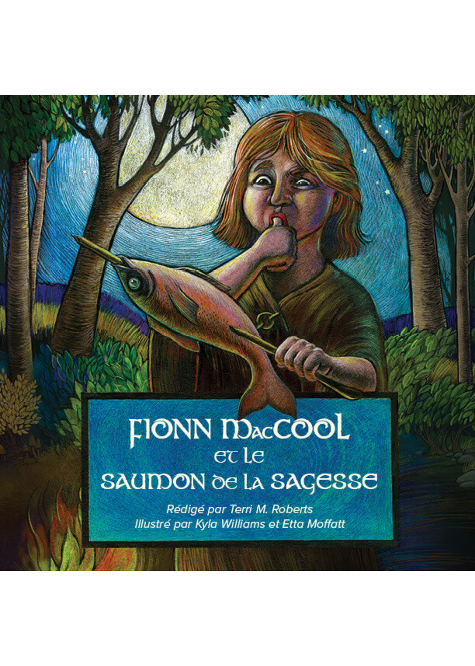 Fionn MacCool et le saumon de la sagesse by Terri M. Roberts, Kyla Williams, and Etta Moffatt