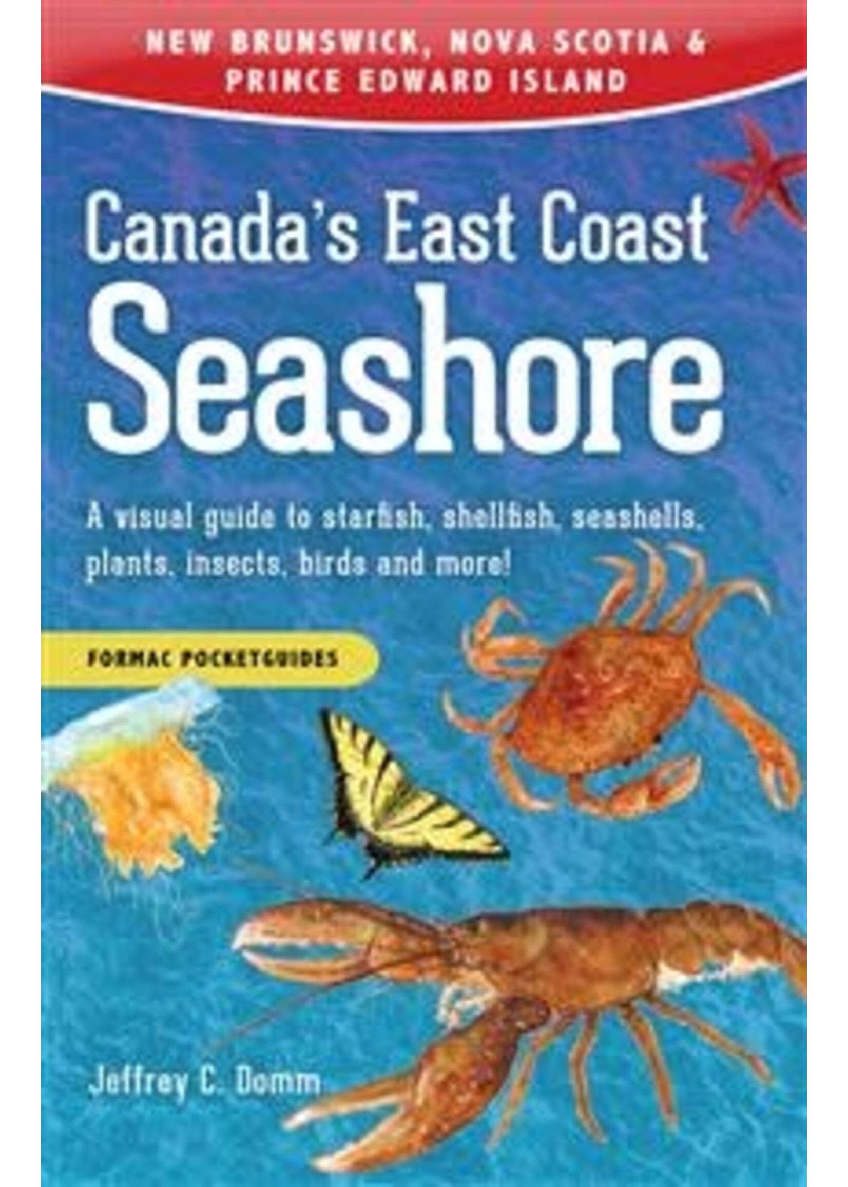 Canada's East Coast Seashore: A visual guide to starfish, shellfish, seashells, plants, insects, birds and more! by Jeffrey C. Domm