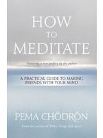 How to Meditate: A Practical Guide to Making Friends with Your Mind by Pema Chödrön