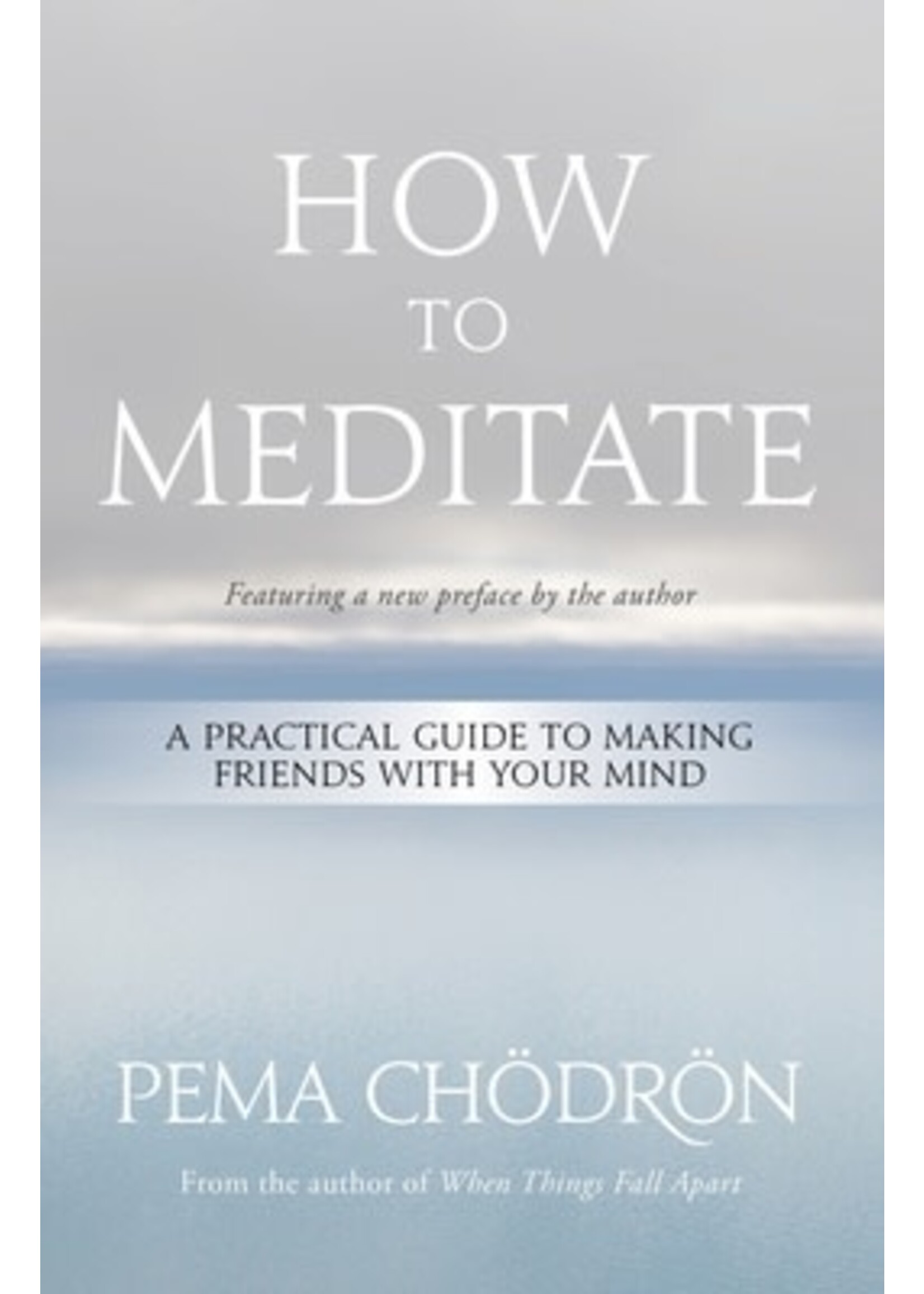 How to Meditate: A Practical Guide to Making Friends with Your Mind by Pema Chödrön