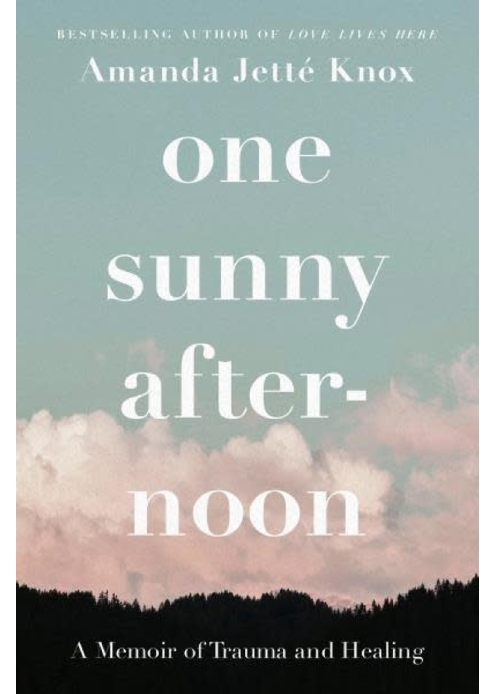 One Sunny Afternoon: A Memoir of Trauma and Healing by Rowan Jette Knox