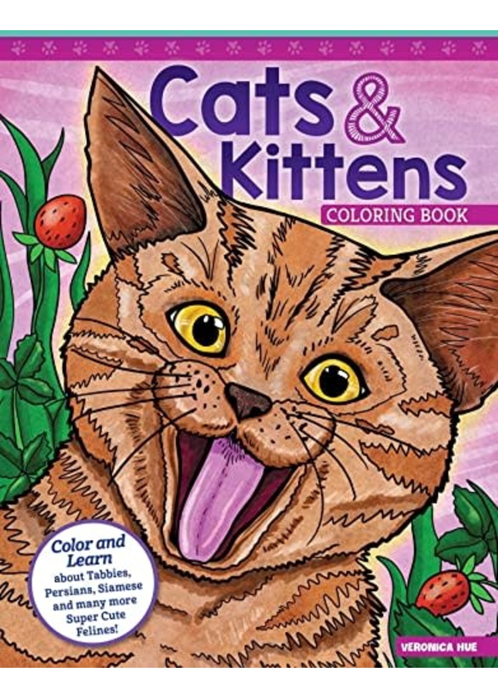Cats and Kittens Coloring Book by Veronica Hue