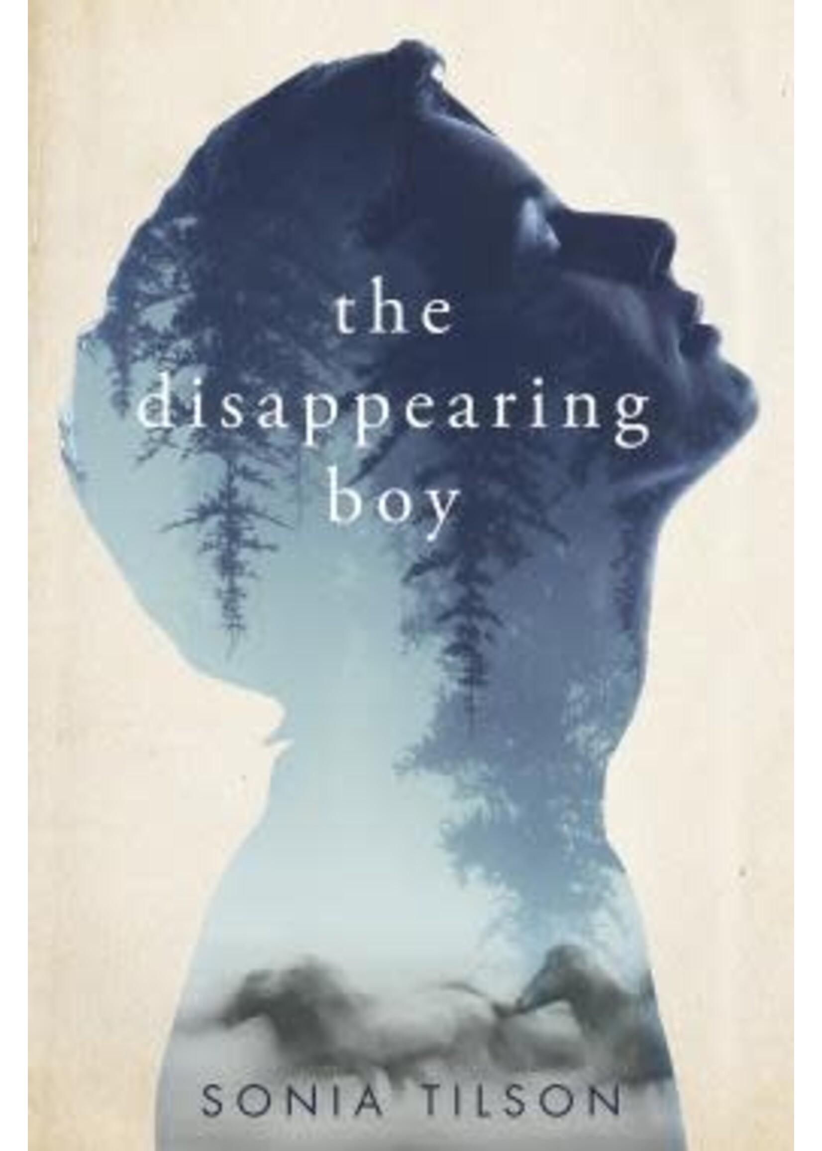 The Disappearing Boy by Sonia Tilson
