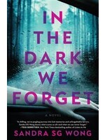 In the Dark We Forget by Sandra SG Wong