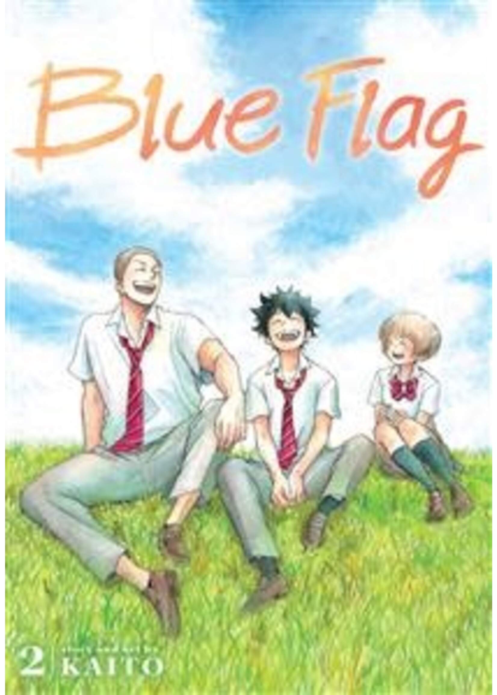 Blue Flag, Vol. 2 by Kaito