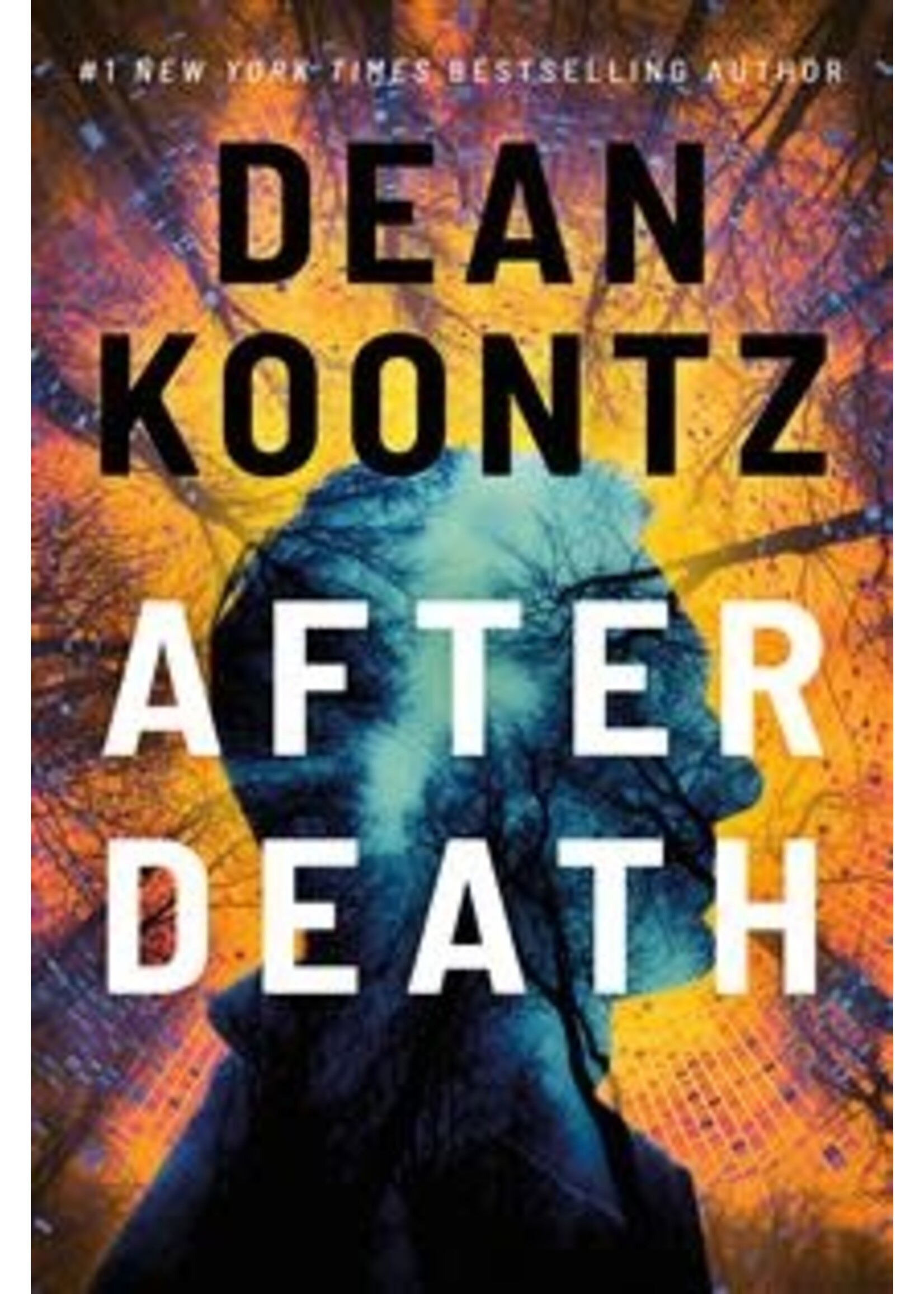 After Death by Dean Koontz