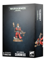 Games Workshop ADEPTA SORORITAS CANONESS