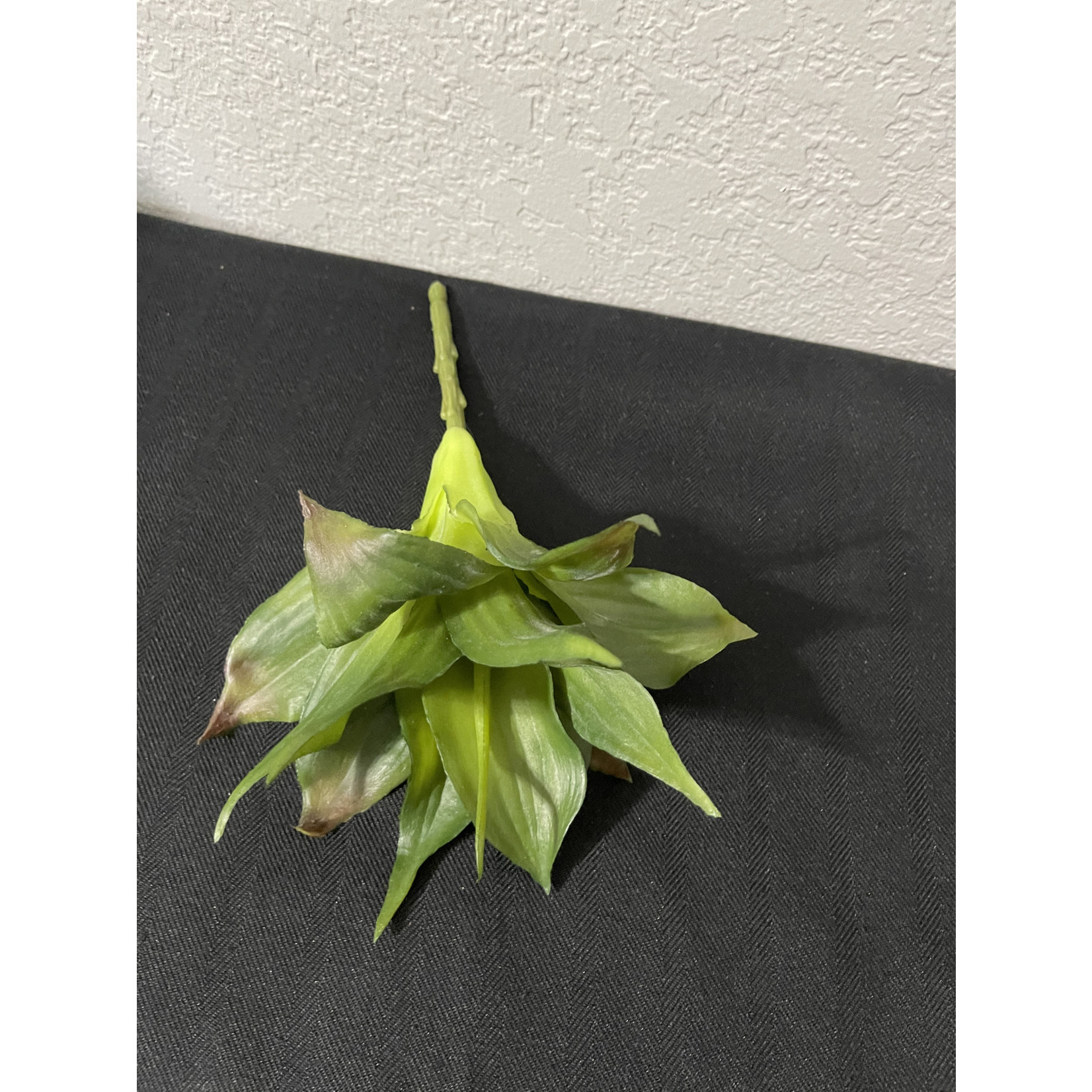 9" Green Succulent Spray