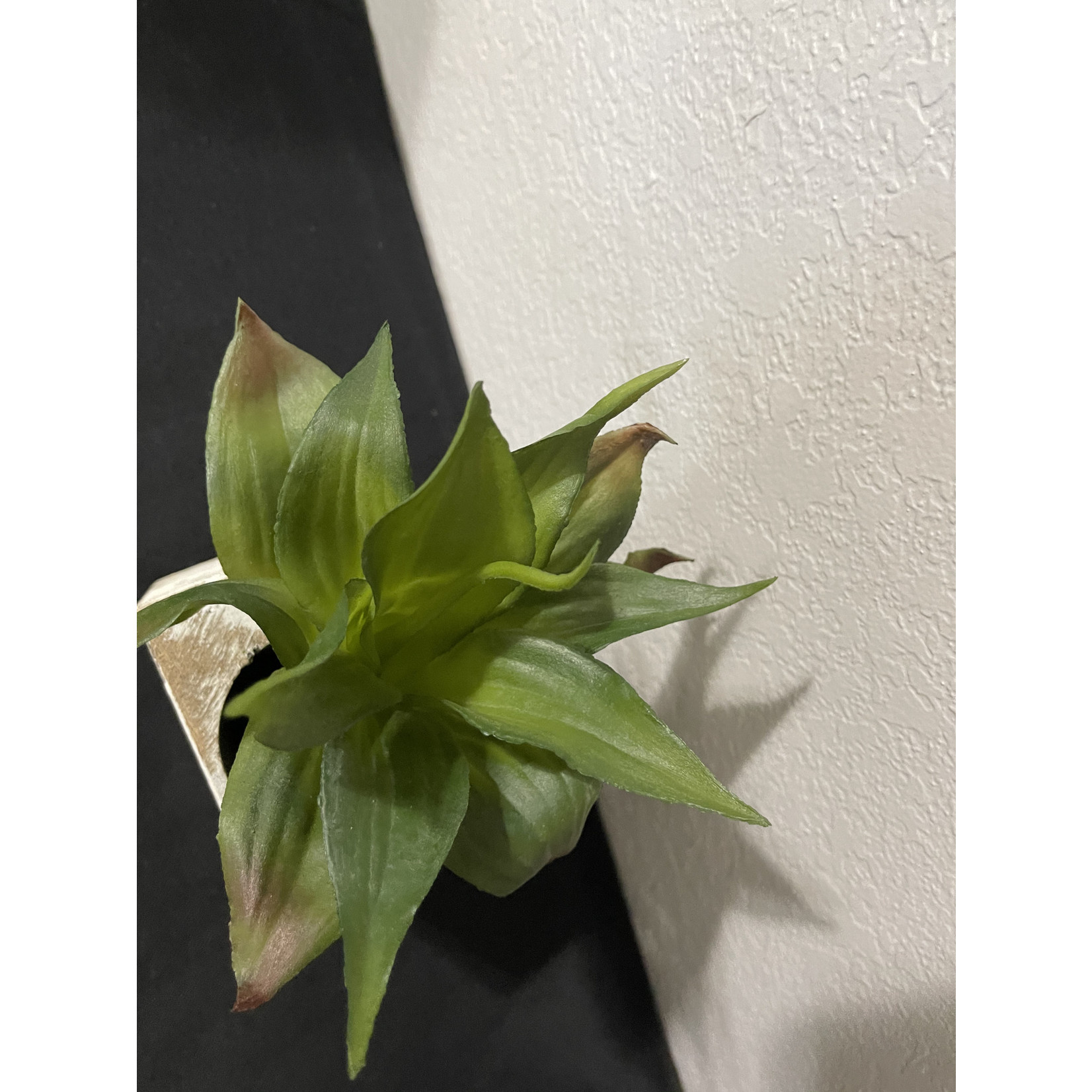 9" Green Succulent Spray