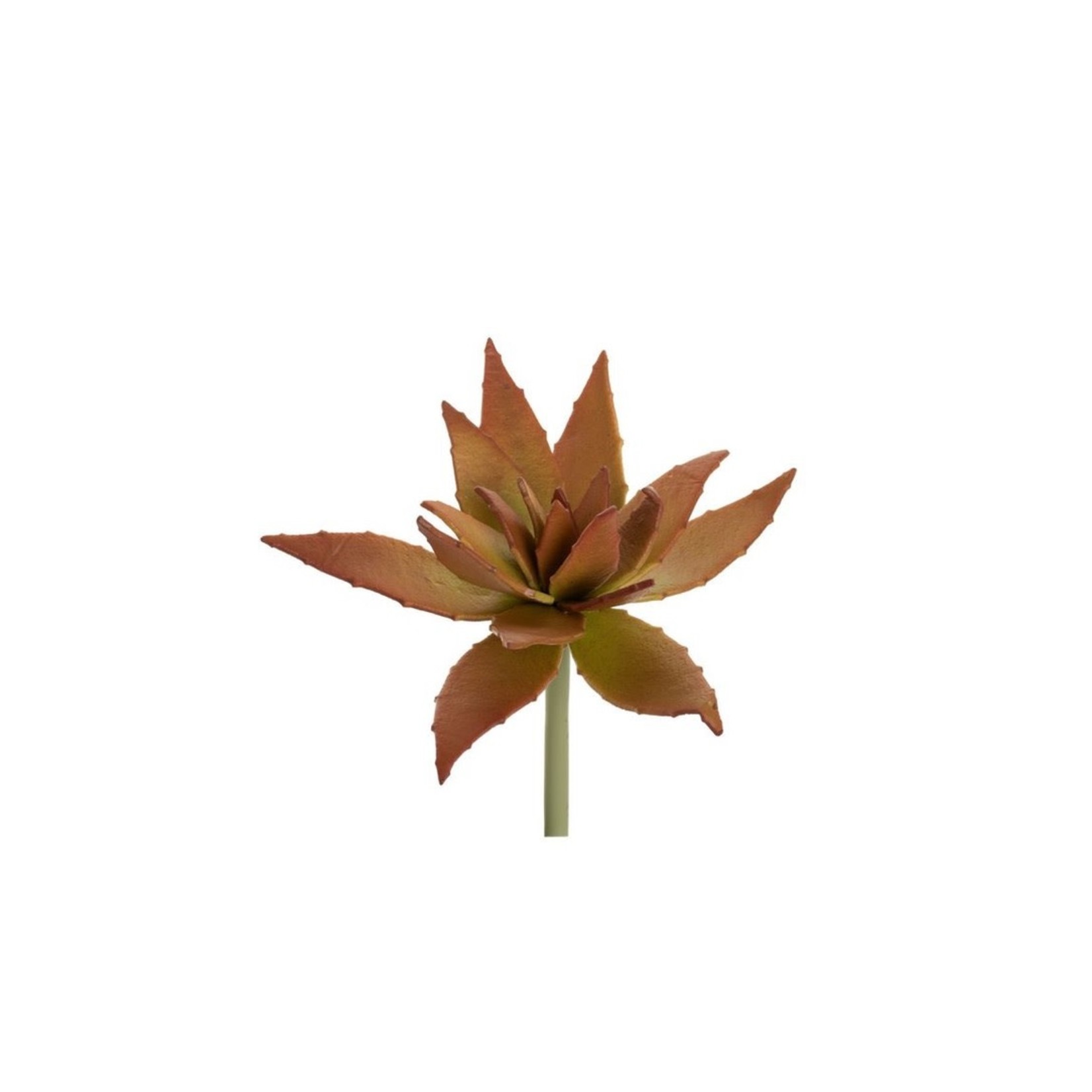 9" Succulent Stem- Bronze