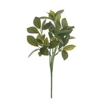 11.5" Lemon Leaf Stem- Green
