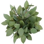 Artificial Eucalyptus Leaves Stems 13 Inches