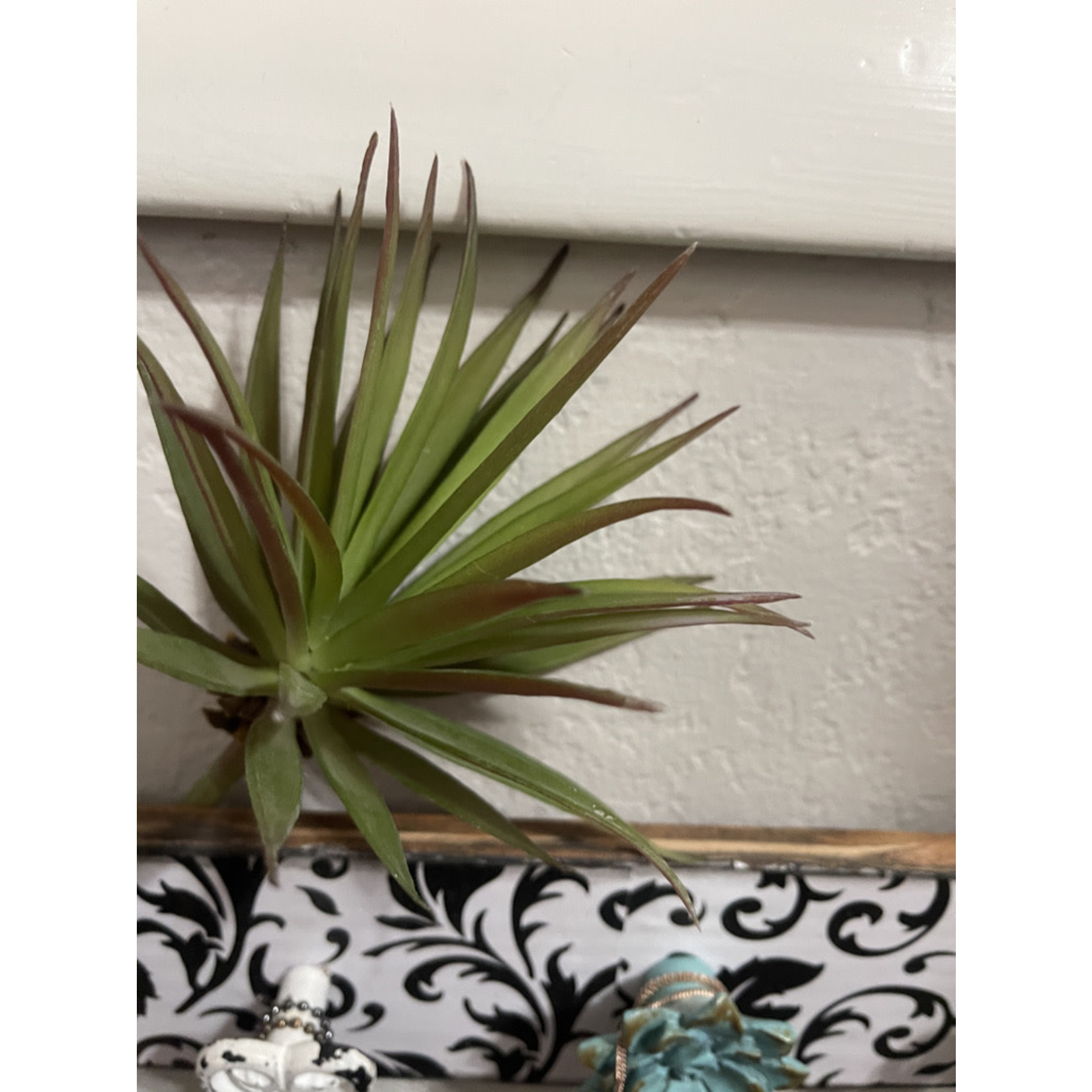 Green Succulent -Small Spray with Red Underneath