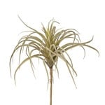 11" Airplant Green / Grey