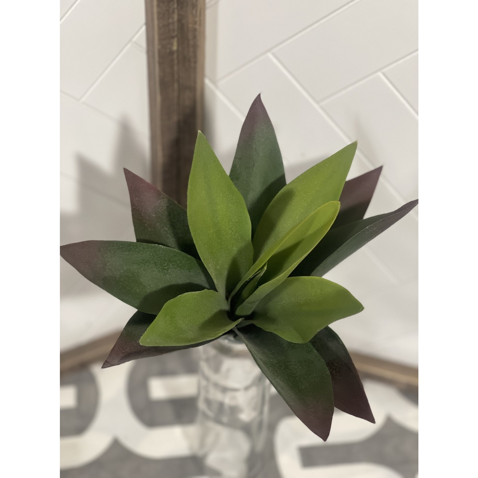 9" Green Agave Stem