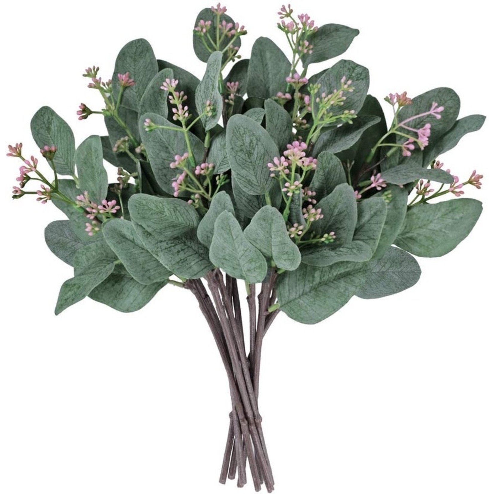 Artificial Eucalyptus Leaves and Pink Seeds Plants