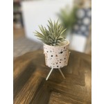 Faire / Lisa Angel Terrazzo Print Mini Planter And Stand