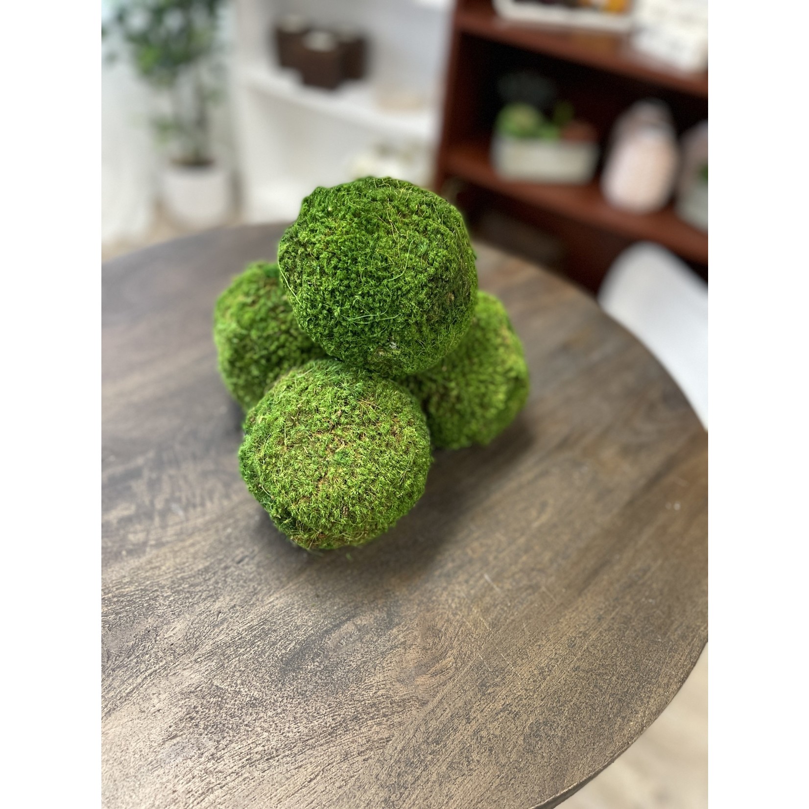 Moss Balls Small 4"