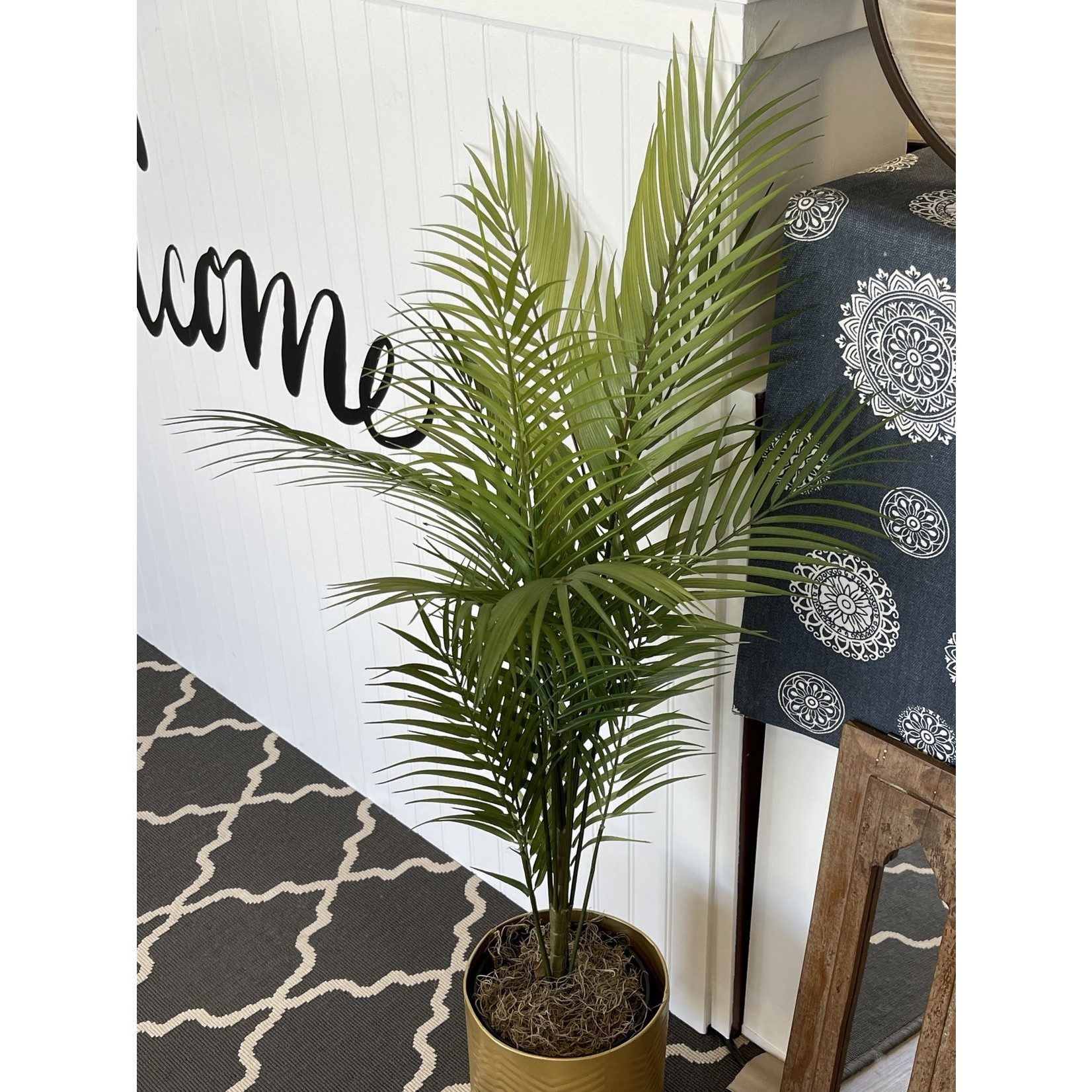 3' Areca Palm Tree
