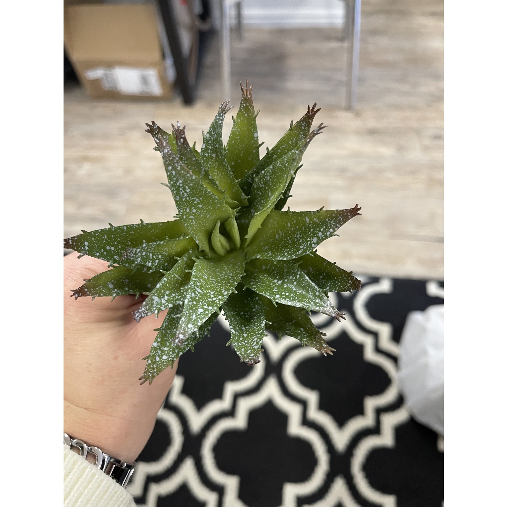 Aloe Pick