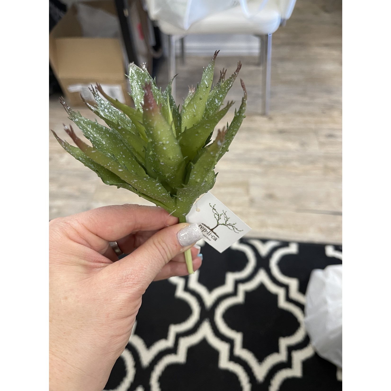 Aloe Pick